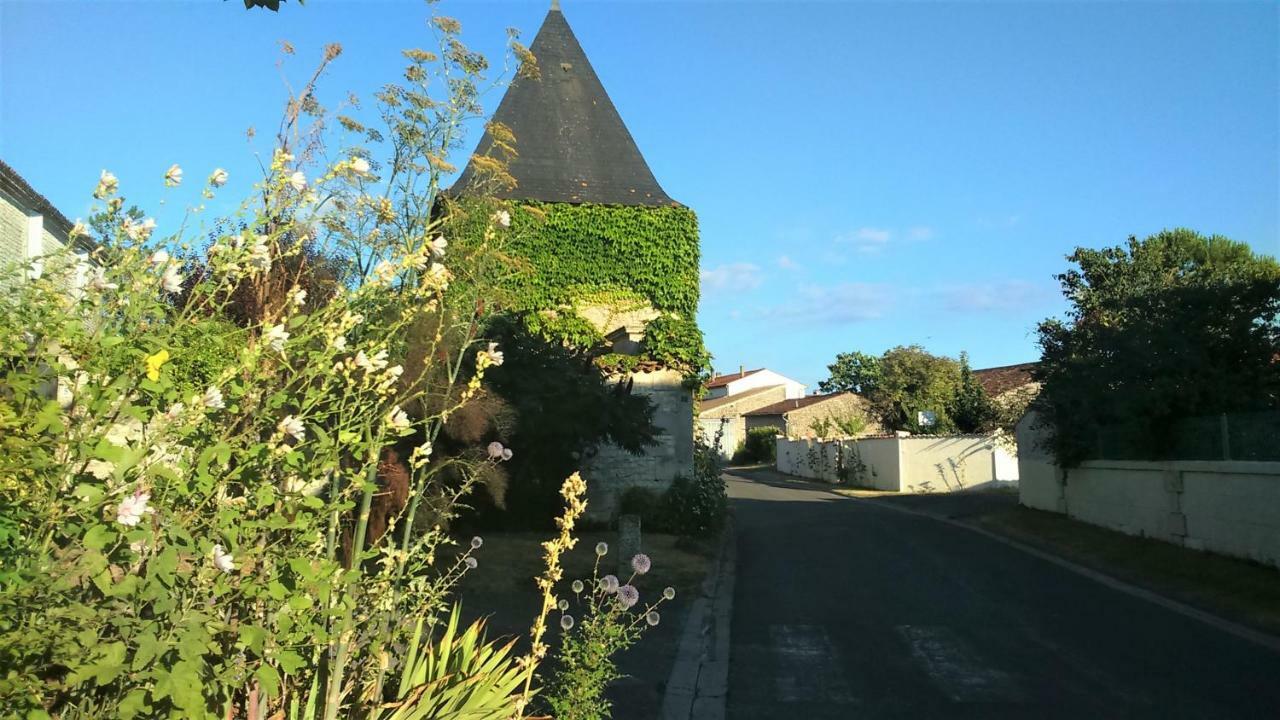Les Gites Du Vigneron Et Cd'H Saint-Seurin-de-Palenne エクステリア 写真