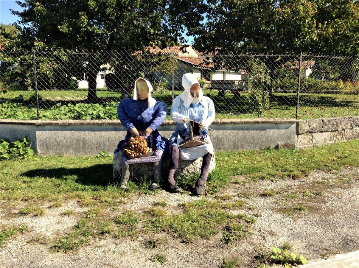 Les Gites Du Vigneron Et Cd'H Saint-Seurin-de-Palenne エクステリア 写真