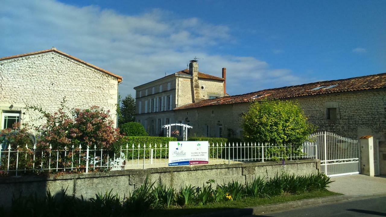 Les Gites Du Vigneron Et Cd'H Saint-Seurin-de-Palenne エクステリア 写真